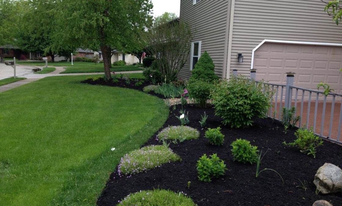 Clean Cut Lawn And Landscape A Better Lawn A Better Life