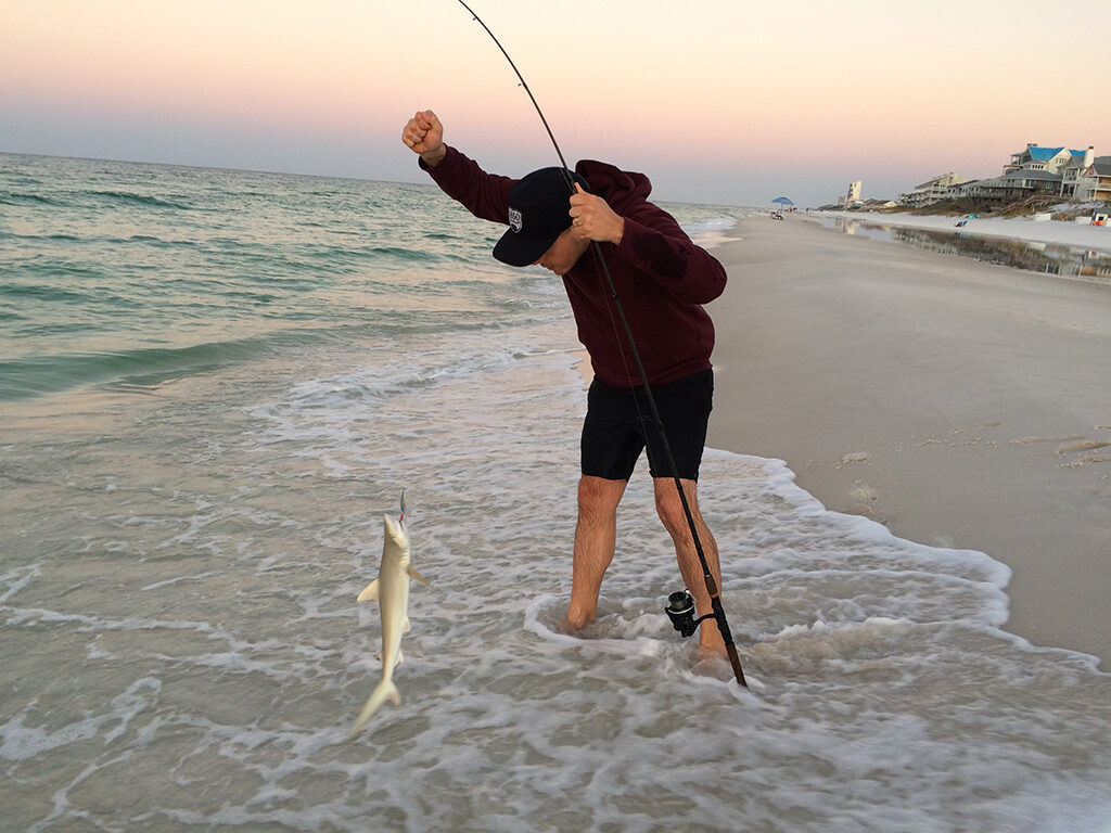 The writer’s son lands a small shark fishing from shore. Photo by: Nancy Carlson