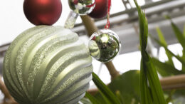 Christmas ornaments at the greenhouse. Photo provided