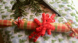Just guess what’s under all this wrapping paper! Photo by: Nancy Carlson