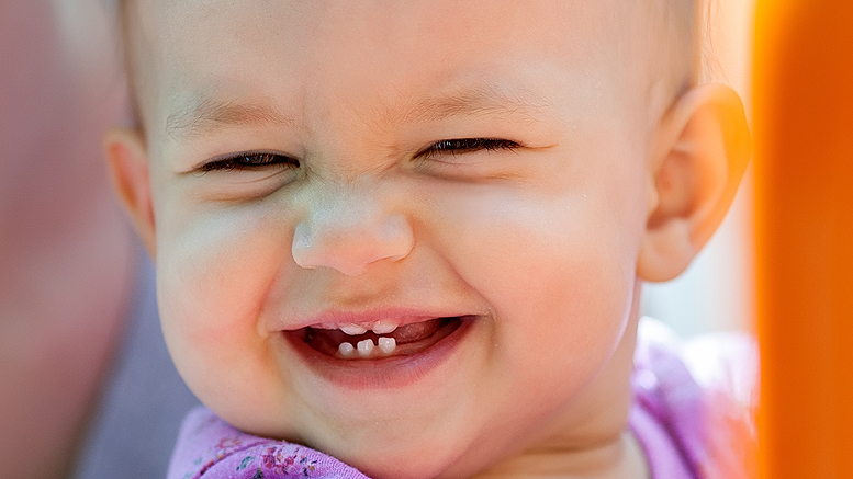 do baby's first teeth look like