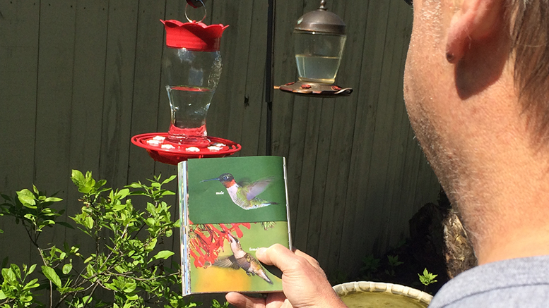 So far the only hummingbirds we’ve seen are in books. Photo by: Nancy Carlson
