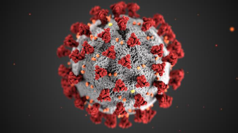This illustration, created at the Centers for Disease Control and Prevention (CDC), reveals ultrastructural morphology exhibited by coronaviruses. Note the spikes that adorn the outer surface of the virus, which impart the look of a corona surrounding the virion.