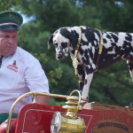 Clydesdales at Scheumann Stadium