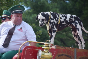 Clydesdales at Scheumann Stadium