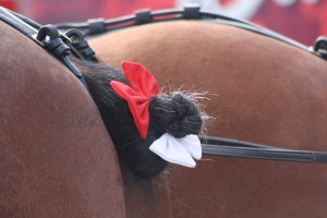 Clydesdales at Scheumann Stadium