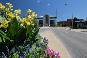 Who planted these flowers? Photo: Mike Rhodes