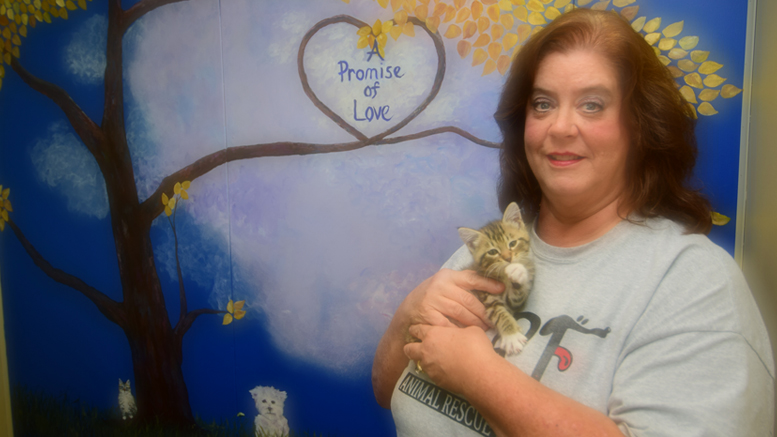 Vickie Bevans, Executive Director of ARF is pictured in front of the new mural, along with kitty "Emma." Photo by: Mike Rhodes