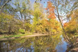 River conservation. Photo provided.