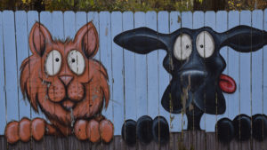 Signage outside of the Animal Rescue Fund on Riggin Road.