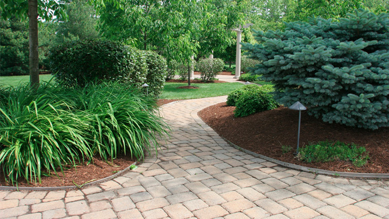 For over 33 years, Clean Cut Lawn and Landscape has provided annual maintenance programs and full-service design and installation of landscapes and hardscapes to local residents and commercial companies.