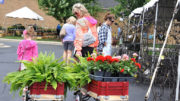 Garden Fair Returns to Minnetrista for a Weekend of Plants, Music, and Community on May 8-9