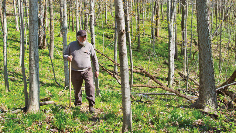 The Land Conservation Fund supports preservation and conservation of land in and around Delaware County. To date, more than 300 acres have been secured in East Central Indiana providing a lasting legacy for future generations. Photo provided.