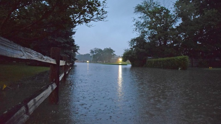 Drainage issues on Mansfield and Johnson Circle, right by Storer. Photo by: Mike Rhodes