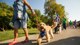 Bark For Life of Delaware County will be held Saturday, September 29th at Morrow’s Meadow in Yorktown. Photo provided.