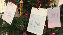 Local kids’ Christmas wishes in cards tied to trees. Photo by: Nancy Carlson