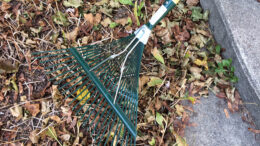What rake advancements will they think of next? Photo by: John Carlson