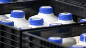 Second Harvest Food Bank tailgate held on April 8th. Photo by: Mike Rhodes