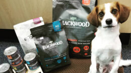 Photo provided by: Roo's Holistic Pet Supplies