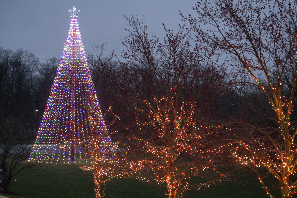 The tree is lit again at the Suzanne Gresham Center.