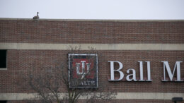 A lone goose sits on top of the IU Health BMH parking garage.