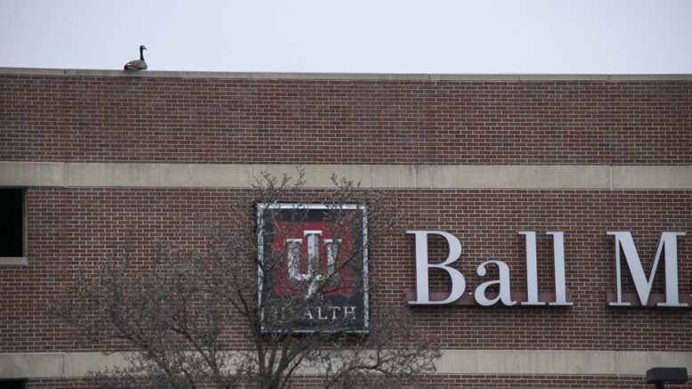 A lone goose sits on top of the IU Health BMH parking garage.