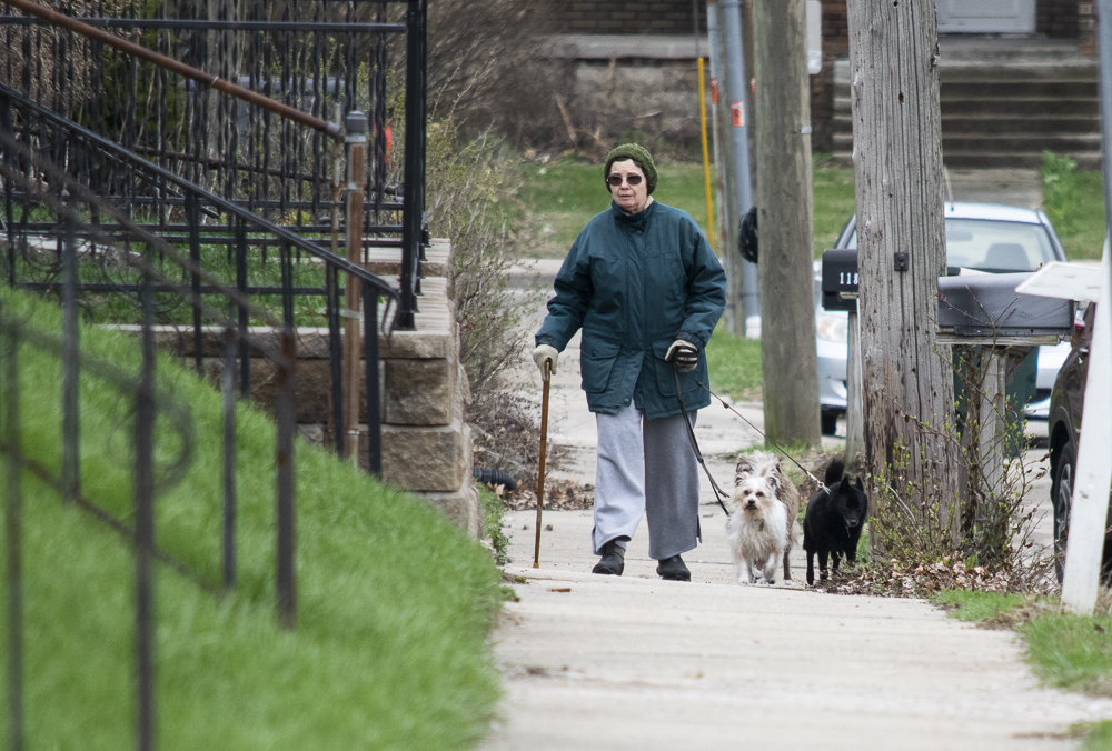 It's always a good time to walk the dog. Or three of them.