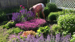 This year’s gardens are truly bursting with color and life. Photo y: John Carlson