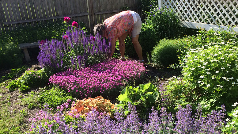 This year’s gardens are truly bursting with color and life. Photo y: John Carlson