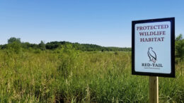 Buck Creek Wetlands sits in a remote section of Henry County, surrounded by agricultural fields. Photo courtesy of Red-tail Land Conservancy.