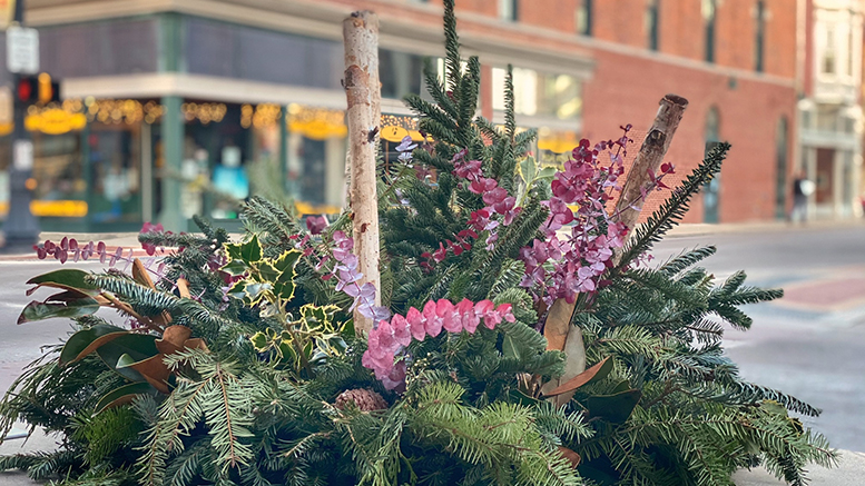 Winter planter located at the corner of Walnut and Jackson. Photo provided