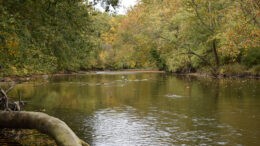 White River as viewed from Hidden Canal Nature Preserve. Photo by Red-tail Land Conservancy