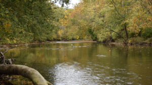 White River as viewed from Hidden Canal Nature Preserve. Photo by Red-tail Land Conservancy