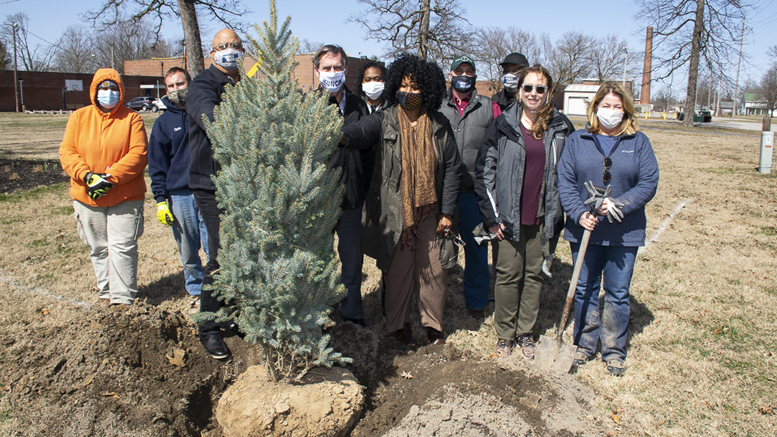 Muncie Mayor Dan Ridenour launched his project "1000 trees in 1000 days" at the Vietnam Veterans Memorial site in Heekin Park on Friday, March 19th where this evergreen tree planting took place. Photo by Mike Rhodes
