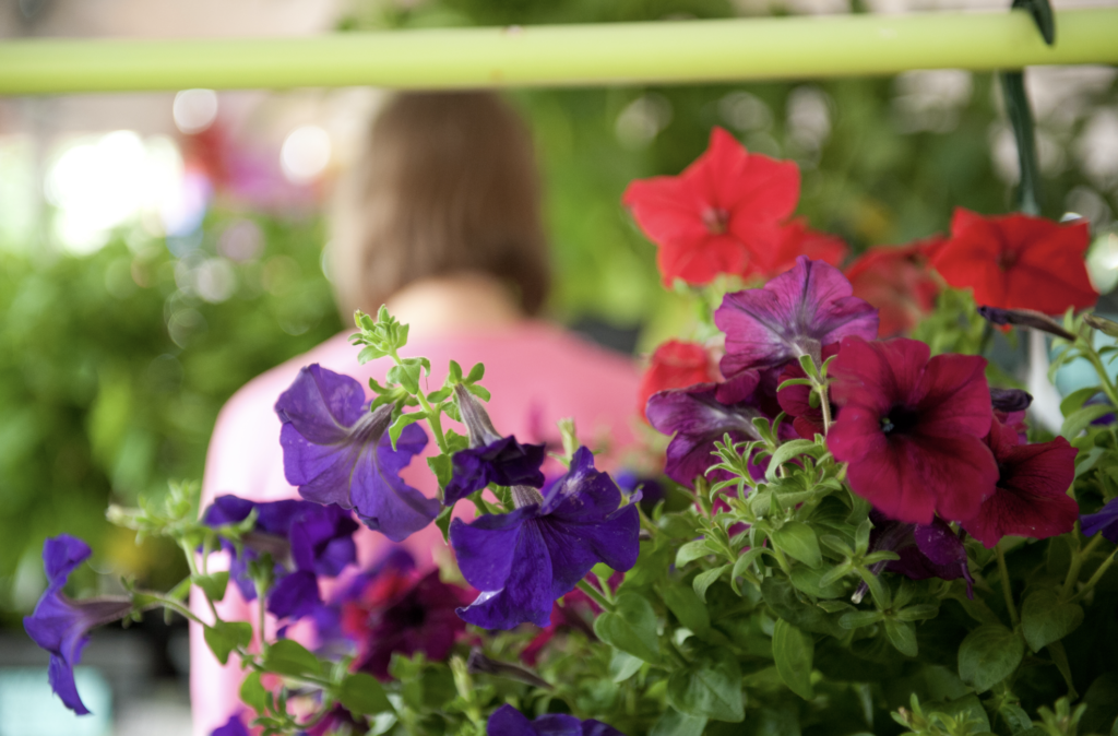 Announces Free Community Event 'Garden Fair' — Muncie Journal