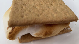 How beautiful is a s’more? This tasted as good as it looked. Photo by Nancy Carlson.