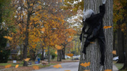 There’s nothing like Halloween to remind yourself you’re a coward. Photo by Mike Rhodes