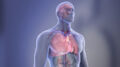 Top 10 Cardiovascular Research Accomplishments in 2021