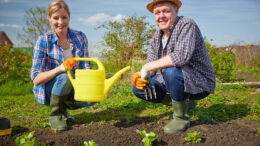 The Grow-a-Row project encourages local gardeners to donate excess garden produce to community partners that can distribute the produce to neighbors in need. Photo by storyblocks