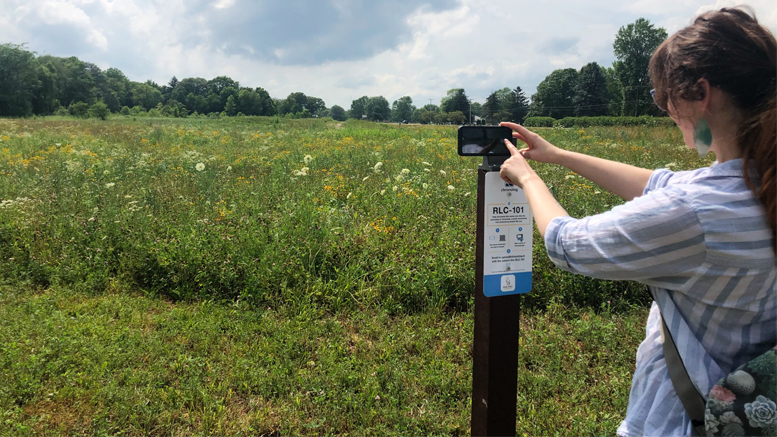 The monitoring station at Dutro-Ernst Woods. Photo by Red-Tail Land Conservancy