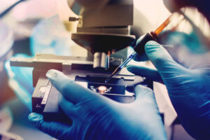 A researcher is pictured using a pipette and microscope in the laboratory to study a sample.