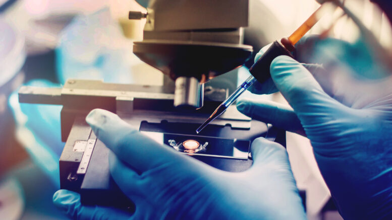 A researcher is pictured using a pipette and microscope in the laboratory to study a sample.