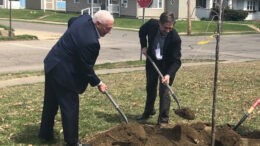 Congressman Greg Pence plants a tree with Muncie Mayor Dan Ridenour. File Photo provided