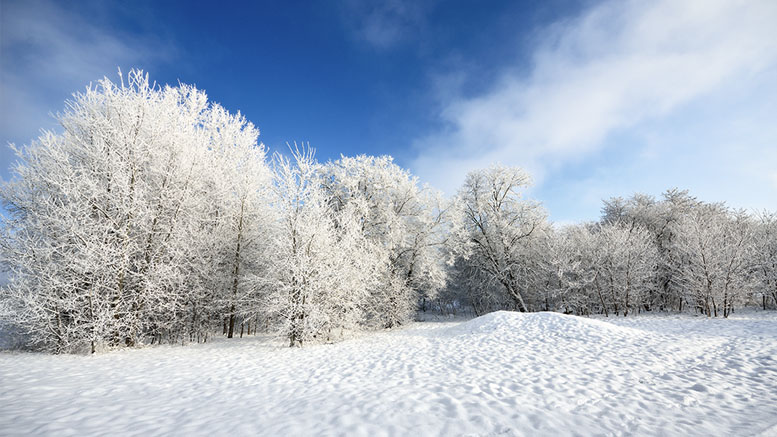 It's not snowing yet, but you know it's coming. Photo by storyblocks