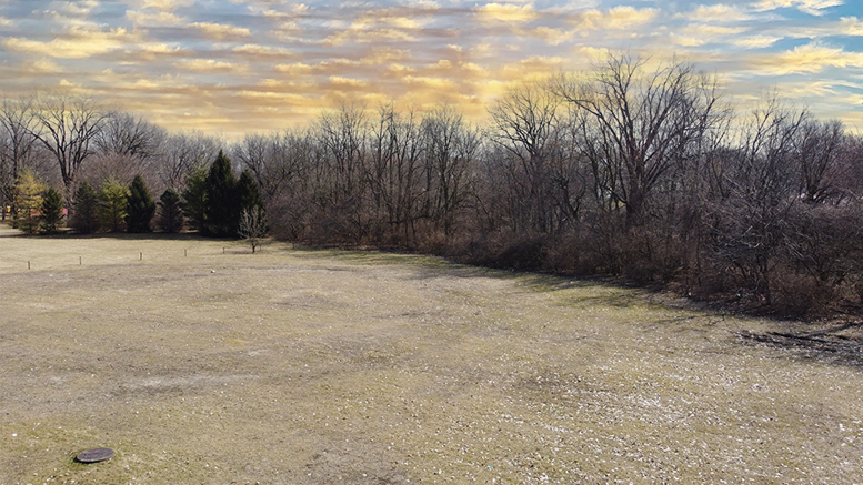 Aerial of Westside Park area where skatepark will be constructed. Photo by Mike Rhodes