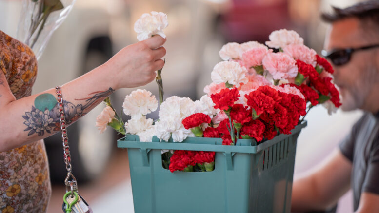 An attendee selects a flower for their bouquet during the 2024 Brink of Summer ArtsWalk Flower Hour. Photo provided.