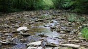 Elkhorn Creek photo by Jaime Coon.