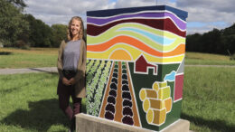 Muncie Arts and Culture Council Announces Fall 2026 Call for Artists for ‘Box!Box!’