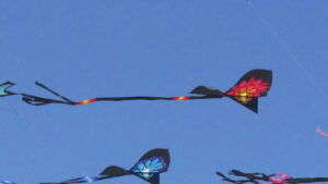 Photo courtesy of American Kitefliers Association.